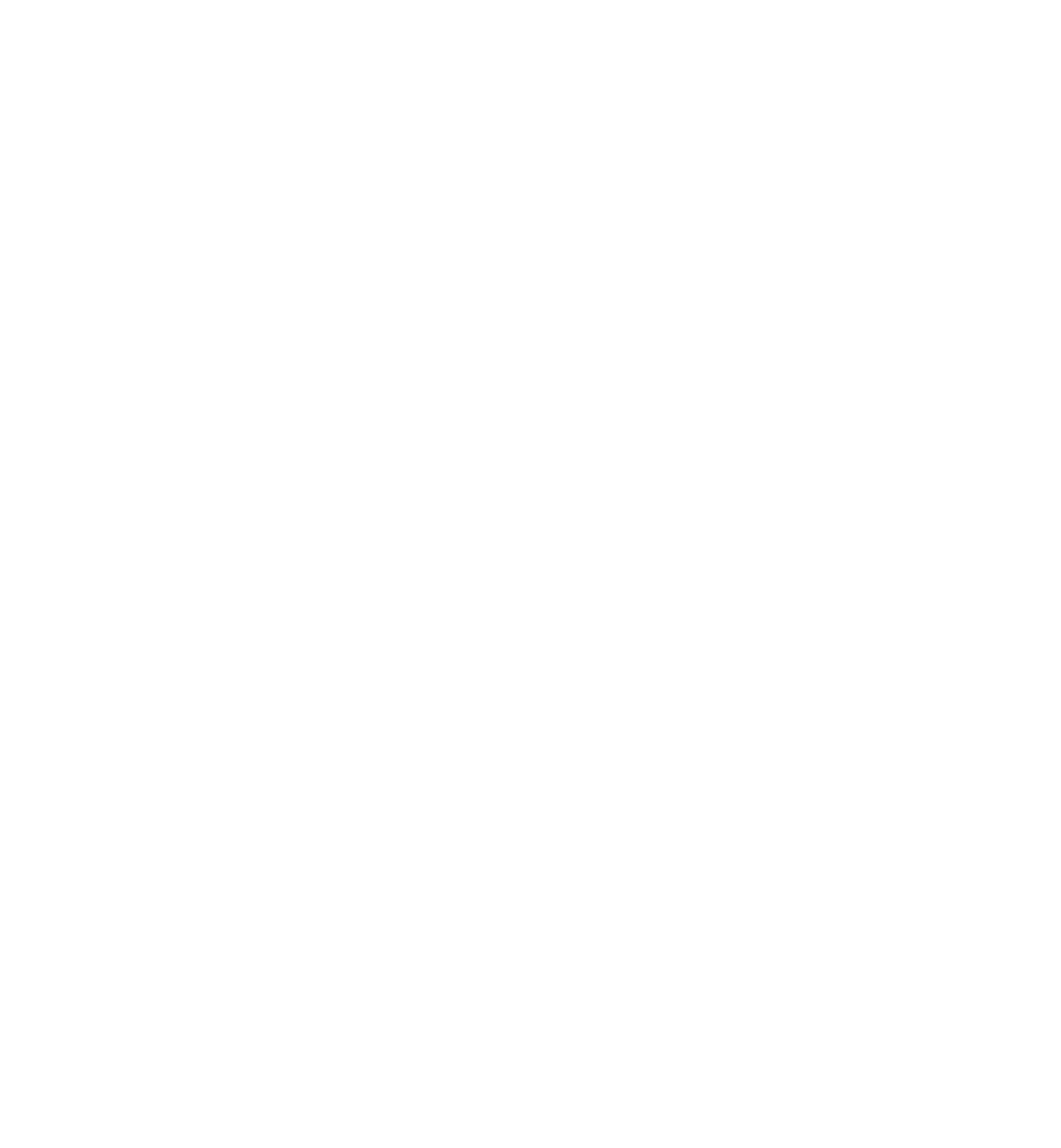 MenaHost